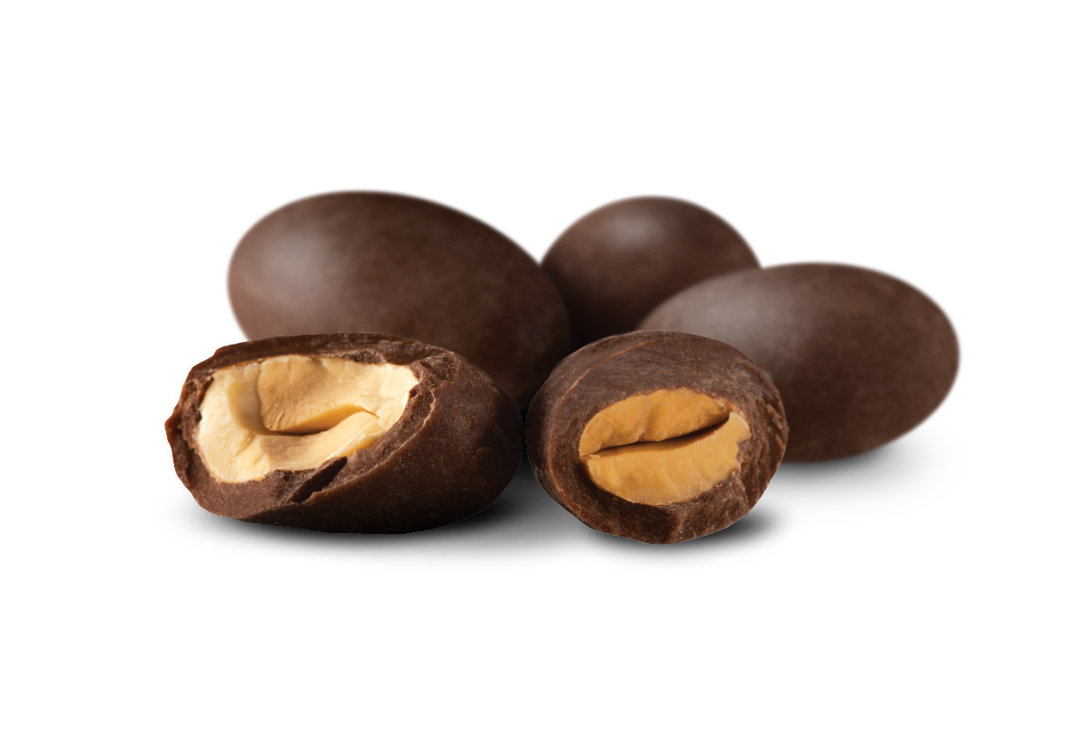 Chocolate Covered Almonds