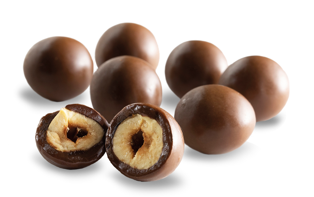 Buy Chocolate Covered Hazelnuts (Box of 12) - Vegan Snacks from Supernature